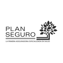plan-seguro